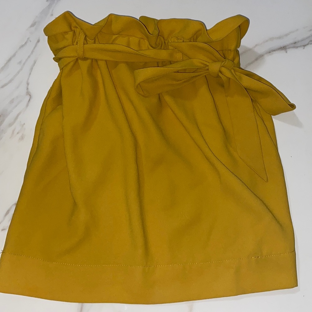 Express Skirt